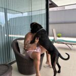 Arthur Picoli Instagram - Minha vidinha 🐶🐶🐶❤️