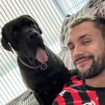 Arthur Picoli Instagram - Photo Dump de Janeiro ✅ Fitness Dog Praia Festa…