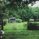 Ashley Johnson Instagram - I'm just going to live here now. I'm sure the people who already live here will be okay with it. I'm very tidy, love cooking and I'm pretty easy to be around. We good?