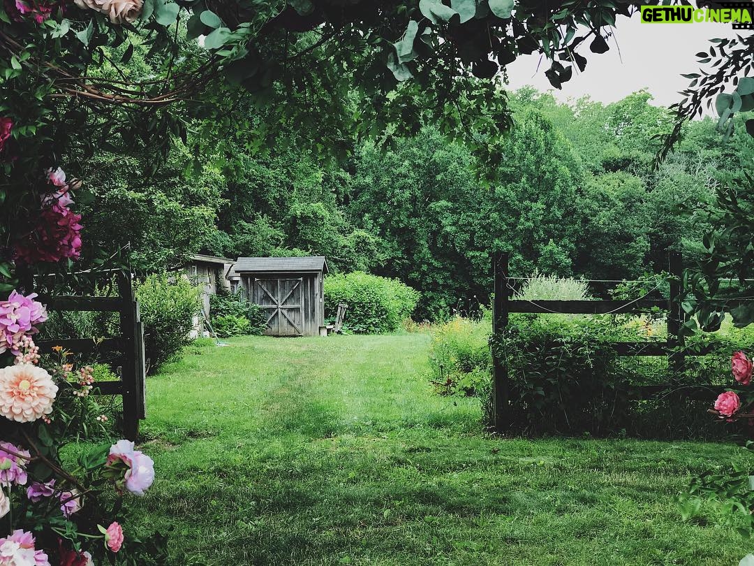 Ashley Johnson Instagram - I'm just going to live here now. I'm sure the people who already live here will be okay with it. I'm very tidy, love cooking and I'm pretty easy to be around. We good?
