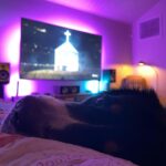 Ashley Johnson Instagram - #NationalDogDay #NationalDondaDay