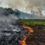 Ashley Johnson Instagram – #Repost from @rainforestalliance

The lungs of the Earth are in flames. 🔥 The Brazilian Amazon—home to 1 million Indigenous people and 3 million species—has been burning for more than two weeks straight. There have been 74,000 fires in the Brazilian Amazon since the beginning of this year—a staggering 84% increase over the same period last year (National Institute for Space Research, Brazil). Scientists and conservationists attribute the accelerating deforestation to President Jair Bolsonaro, who issued an open invitation to loggers and farmers to clear the land after taking office in January.⁣
⁣
The largest rainforest in the world is a critical piece of the global climate solution. Without the Amazon, we cannot keep the Earth’s warming in check. ⁣
⁣
The Amazon needs more than our prayers. So what can YOU do?⁣
⁣
✔ As an emergency response, donate to frontline Amazon groups working to defend the forest. ⁣
✔ Consider becoming a regular supporter of the Rainforest Alliance’s community forestry initiatives across the world’s most vulnerable tropical forests, including the Amazon; this approach is by far the most effective defense against deforestation and natural forest fires, but it requires deep, long-term collaboration between the communities and the public and private sectors. Link in bio.⁣
✔ Stay on top of this story and keep sharing posts, tagging news agencies and influencers. ⁣
✔ Be a conscious consumer, taking care to support companies committed to responsible supply chains.⁣
✔ When election time comes, VOTE for leaders who understand the urgency of our climate crisis and are willing to take bold action—including strong governance and forward-thinking policy.⁣
⁣
#RainforestAlliance #SaveTheAmazon #PrayForAmazonia #AmazonRainforest #ActOnClimate #ForestsResist #ClimateCrisis 📸: @mohsinkazmitakespictures / Windy.com