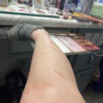 Ashley Johnson Instagram - Bellie. Bite progression tests. Anna.