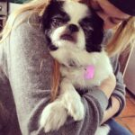 Ashley Johnson Instagram - I tried to keep him for as long as I could. He was in so much pain, but selfishly, I couldn’t think about not having him here. This dog has been with me for fifteen years. He carried me through some very rough patches in my life and to be honest, there were times I felt like I didn’t deserve the love he gave me. We travelled the world together and looked out for each other. He was my family, my best friend and was (and always will be) an absolute legend. For those of you that had the opportunity to meet Sully, or knew him well, was to know how special he was. He truly had so much personality. He was grouchy, ornery, funny and lived to be massaged and treated like a King. On Saturday night, he got to see all of his favorite people. Listen to music. Eat delicious food (including ice cream AND chocolate) and lounge in Momma’s arms all night. On Sunday he spent the day with family, until it was time for him to rest and go peacefully into the night. My heart hurts and all I want is for him to be back in my arms. I miss him like hell and I don’t quite know how to handle him not being here. It feels a bit lame posting this on social media, like it’s not meaningful enough. But I know so many of you knew him and I felt like sharing some pictures of this handsome and wonderful boy. I will miss you forever and always and I will never forget you, my sweet boy.