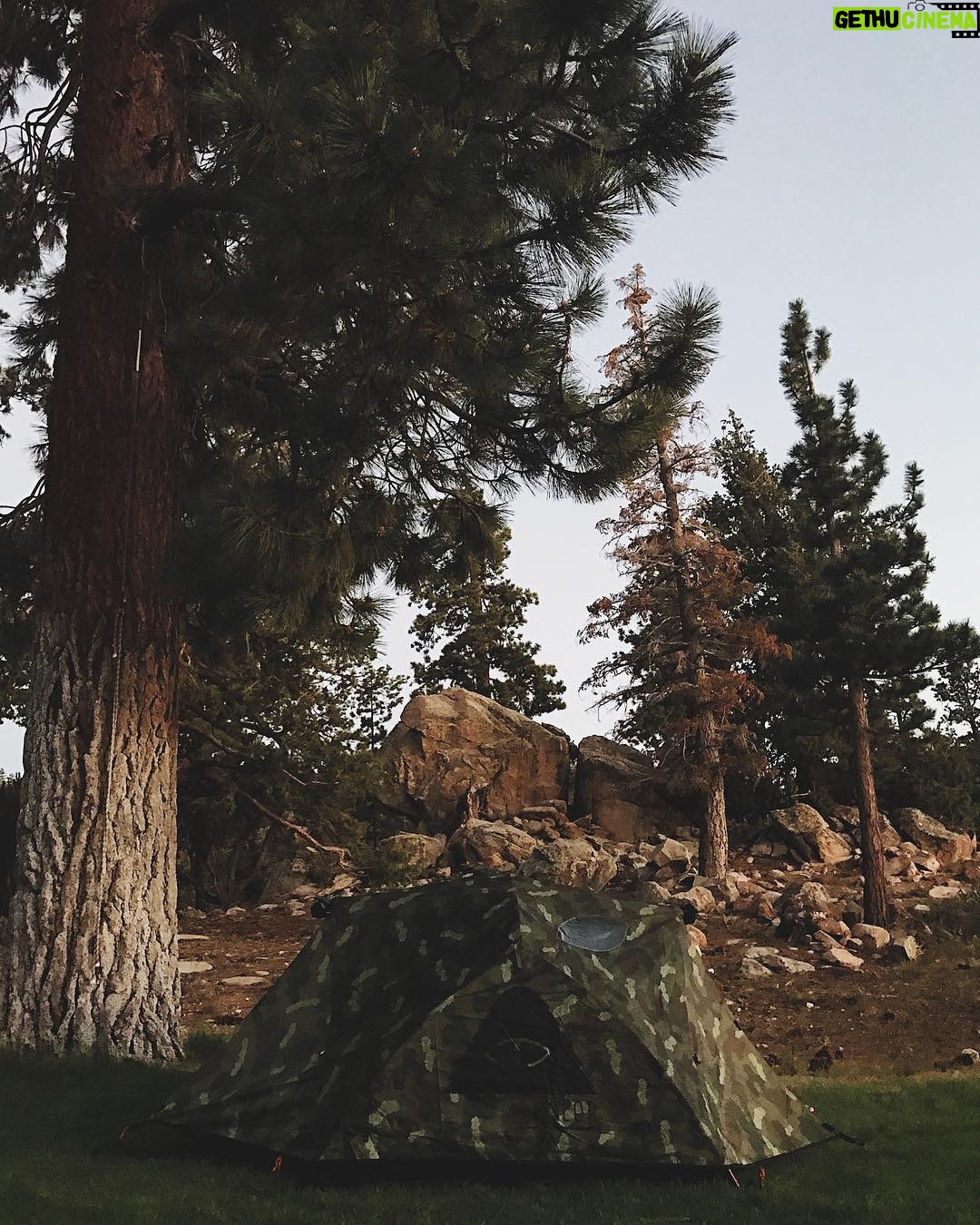 Ashley Johnson Instagram - Blending in.