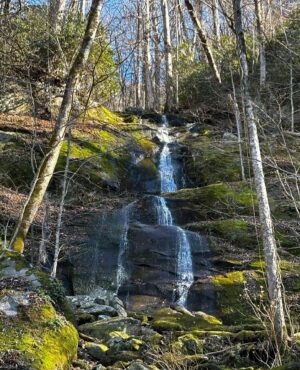Ashley Judd Instagram - Great Smoky Mountains. Big hikes, sweet strolls, and in the cabin, 18 Chosen Family members trading cooking, chores, filling in a puzzle, playing chess, having a New Years Eve dance party (kiddos with the main moves), hilarious running charades, morning coffee with our readings, quiet conversations in pairs, laughter in groups, and peace all around. It works. We’ve been doing this for many years. Our secret(s) include, at our first meal, everyone shares a memory they would like to make, something they’d be disappointed if they didn’t get to do it, and any group norms they need/would like to ask for (quiet time after 10pm, before 8 am, e.g.). Everyone has full permission to do what they need to do to take care of themself at given moment: a nap, the hot tub, a break....I love these people and their love for me is one of the joys of my life.
