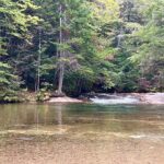 Ashley Judd Instagram – A fine weekend outside, with gratitude for our state parks. Much appreciation for our volunteers and paid workers! Nature is a cathedral for me…..anyone else have spiritual experiences in The Great Outdoors? #nature #stateparks #getoutside
