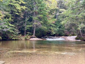 Ashley Judd Instagram - A fine weekend outside, with gratitude for our state parks. Much appreciation for our volunteers and paid workers! Nature is a cathedral for me.....anyone else have spiritual experiences in The Great Outdoors? #nature #stateparks #getoutside