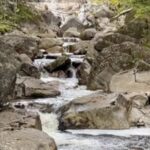 Ashley Judd Instagram – A fine weekend outside, with gratitude for our state parks. Much appreciation for our volunteers and paid workers! Nature is a cathedral for me…..anyone else have spiritual experiences in The Great Outdoors? #nature #stateparks #getoutside