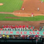 Ashley Judd Instagram – So pleasant and fun to be a guest @fenwaypark to cheer on the @redsox on a sublime late summer’s eve. There were many hits, a total of 12 runs, and lots of great fielding action as we took in @mlb new rules. I like them! You? So, the @yankees won that one, but remember the Red Sox shut them out  earlier in the day, 5-0! Deep sweetness to my Papaws and Uncle Mark for the love of the game and the special memories of evenings drinking @pepsi while taking in @reds (the era of Big Red Machine) on the radio while reviewing  yesterday’s box score in the paper. And yes, I thought  a pitcher’s era was the same thing as the Equal Rights Amendment. I’ve always been me!! #baseball. PS How about the 10 year old singing the #NationalAnthem? #redsox #mlb  #yankees #pepsi #equalrightsamendment