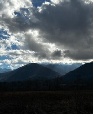 Ashley Judd Instagram - Great Smoky Mountains. Big hikes, sweet strolls, and in the cabin, 18 Chosen Family members trading cooking, chores, filling in a puzzle, playing chess, having a New Years Eve dance party (kiddos with the main moves), hilarious running charades, morning coffee with our readings, quiet conversations in pairs, laughter in groups, and peace all around. It works. We’ve been doing this for many years. Our secret(s) include, at our first meal, everyone shares a memory they would like to make, something they’d be disappointed if they didn’t get to do it, and any group norms they need/would like to ask for (quiet time after 10pm, before 8 am, e.g.). Everyone has full permission to do what they need to do to take care of themself at given moment: a nap, the hot tub, a break....I love these people and their love for me is one of the joys of my life.