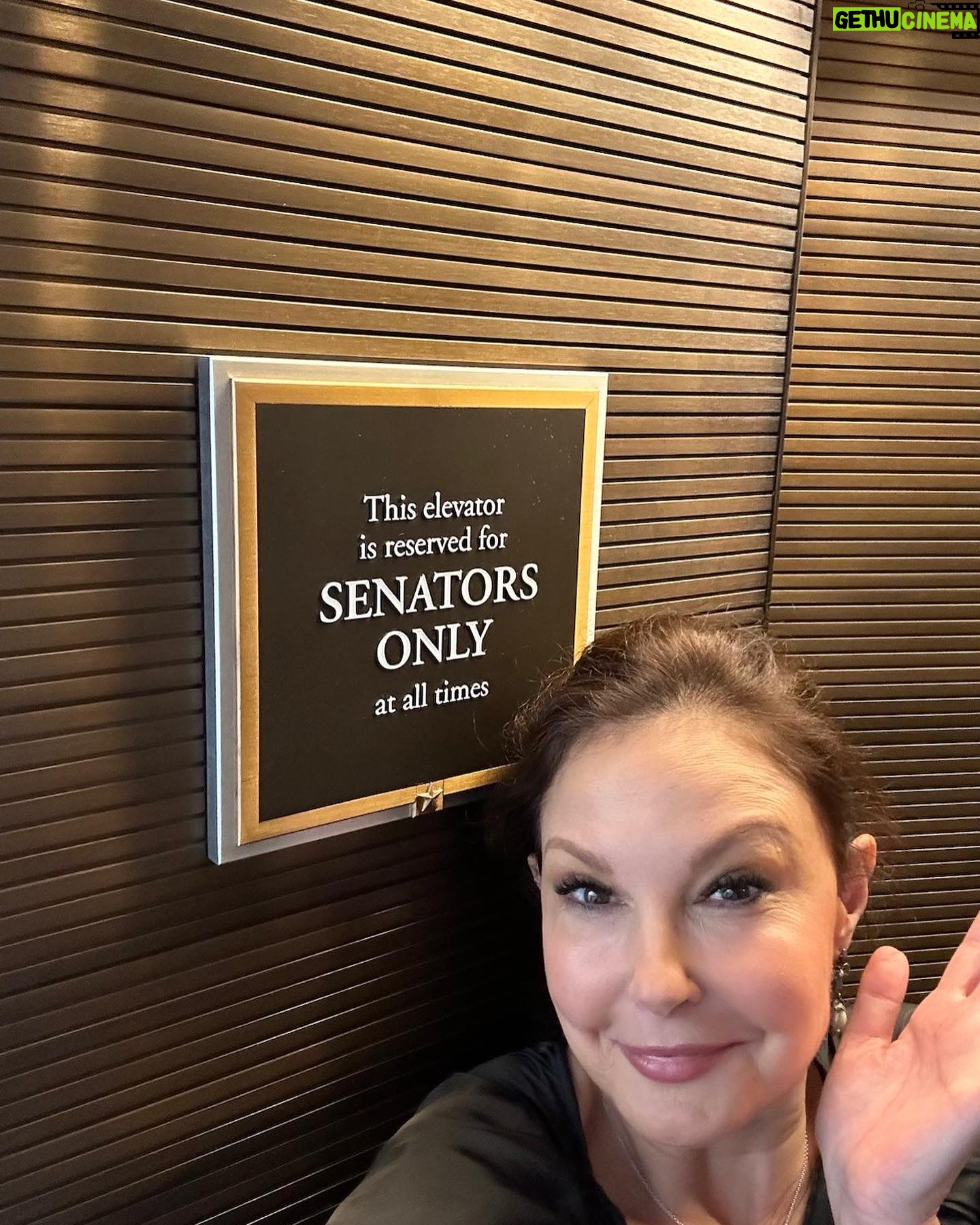 Ashley Judd Instagram - Last month, I had a mighty big week of advocacy in our nation's Capital. First, I spoke on a panel with some of my chosen sisters about the matriarchal, egalitarian world of bonobos (@bonobosisterhood) - free from male sexual violence and coercion, might I add. Next, I met with Senators about the suicide epidemic, and I shared more about #NaomisLaw and the urgent need for privacy for all families who have had a loved one die by suicide. Thank you to @senblumenthal and @marshablackburn for receiving me. Last, I spoke at the “Foreign Policy” summit about the relationship between women, peace, and security. It was an honor and great deal of fun to speak with leaders and advocates from around the country. There remains much work to be done to progress on women's equality and privacy rights, and I still left feeling encouraged about the power each of us has. The week recommitted my vigor in reaching out to those with whom I have seemingly intractable differences in order to make life more fair and safe.