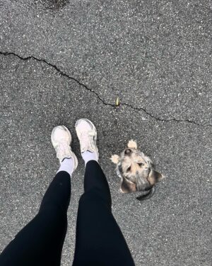 Ashley Moore Instagram - lil cheeto 🧡