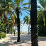 Ashley Roberts Instagram – Bienvenidos a Miami 🌴