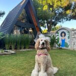 Aslı Bekiroğlu Instagram – 💙🦋🧢çocuk eli 🐳🐬🚙