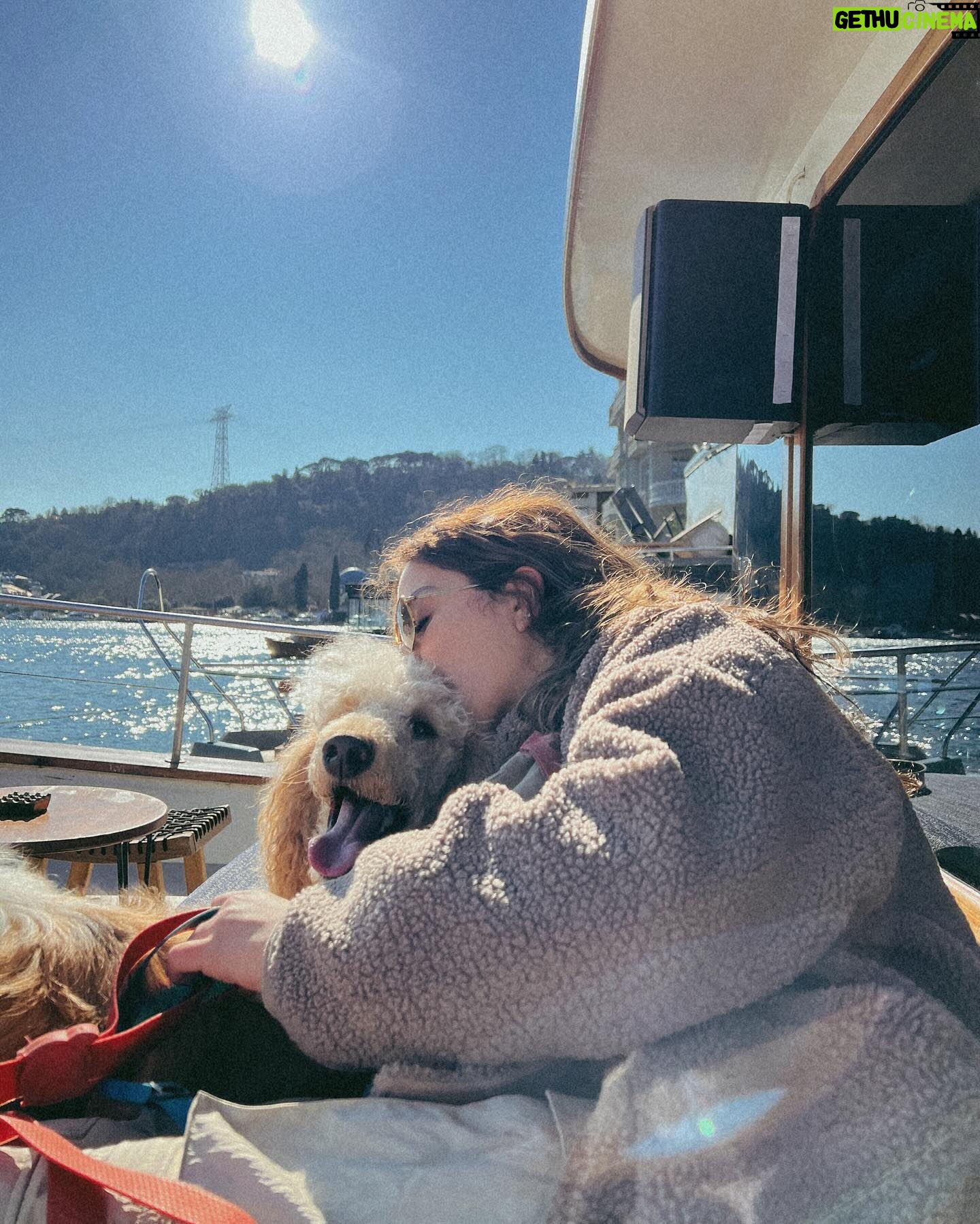 Aslı Bekiroğlu - 3 Likes - @thomasontheshore 'a ugramak icin harika bir gün ☀️☀️