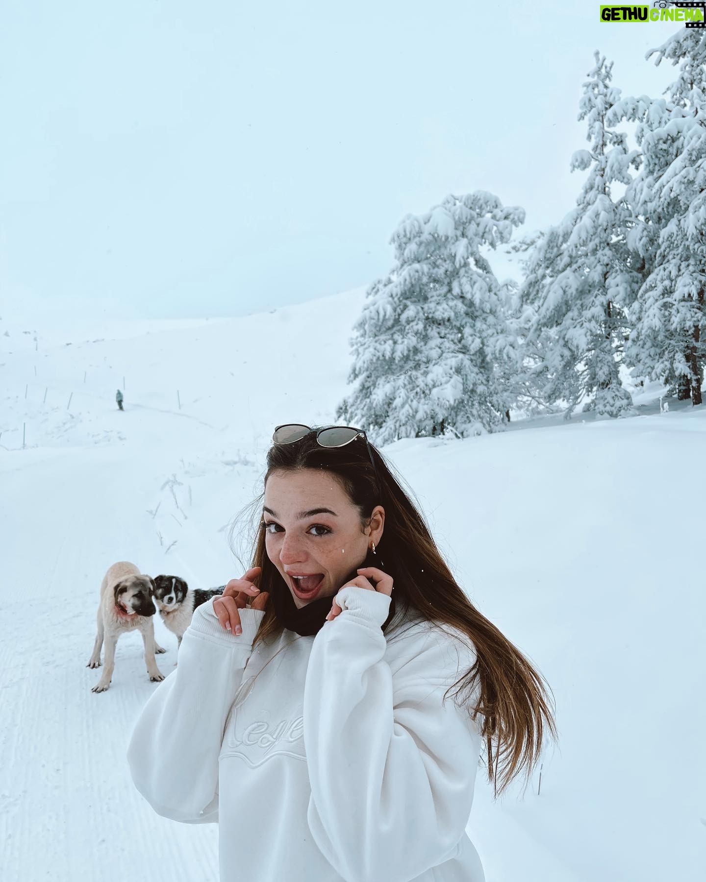 Aslıhan Kapanşahin Instagram - Pardon bi fotoğraf çekilebilir miyiz? 🐶