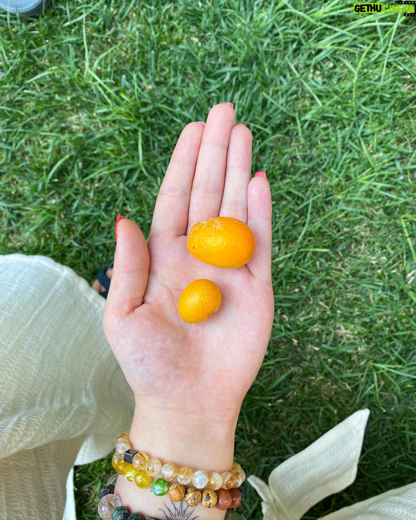 Aslıhan Kapanşahin Instagram - Kamkat tadında değil de şeker tadında bir bayram diliyorum, iyi bayramlar! 💫🩷