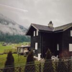 Aslıhan Malbora Instagram - Bu sene toprakta kaymayı öğrendim 🥲🥀
