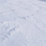 Aslıhan Malbora Instagram - Bu sene toprakta kaymayı öğrendim 🥲🥀