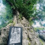 Aslıhan Malbora Instagram –