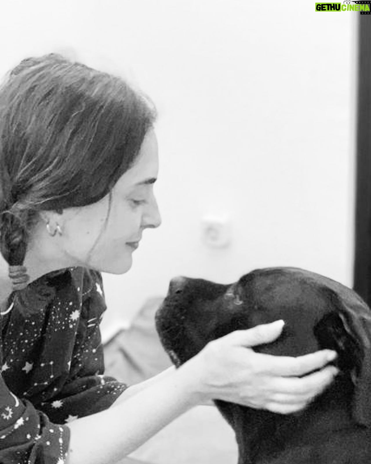 Aslihan Gurbuz Instagram - Kaydırdıkça öpüşüyorlar 🖤 #aabidöndümkiöpüşüyorlar 📸 @neylantomurcuk