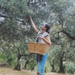 Aslihan Gurbuz Instagram - Hayat sana teşekkür ederim 🙏🏻 yakınlarına “benden sonra bir zeytin bir de limon ekin başucuma” diyen beni gördüğün için🙏🏻 Bana bir zeytinlik verdiğin ve böyle sevildiğim için❤️ Evet hiçbirini ben ellerimle ekmedim, evet limon da yok, yokluk yılına da denk geldim tamam, ama bu verdiklerine bin şükür be🙏🏻🙏🏻🙏🏻 Çok mutluyum efendim, dileyen isteyen herkese nasip olmasını dilerim❤️