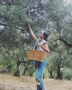 Aslihan Gurbuz Instagram - Hayat sana teşekkür ederim 🙏🏻
yakınlarına “benden sonra bir zeytin bir de limon ekin başucuma” diyen beni gördüğün için🙏🏻
Bana bir zeytinlik verdiğin ve böyle sevildiğim için❤️
Evet hiçbirini ben ellerimle ekmedim, evet limon da yok, yokluk yılına da denk geldim tamam, ama bu verdiklerine bin şükür be🙏🏻🙏🏻🙏🏻
Çok mutluyum efendim, dileyen isteyen herkese nasip olmasını dilerim❤️