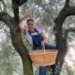 Aslihan Gurbuz Instagram - Hayat sana teşekkür ederim 🙏🏻 yakınlarına “benden sonra bir zeytin bir de limon ekin başucuma” diyen beni gördüğün için🙏🏻 Bana bir zeytinlik verdiğin ve böyle sevildiğim için❤️ Evet hiçbirini ben ellerimle ekmedim, evet limon da yok, yokluk yılına da denk geldim tamam, ama bu verdiklerine bin şükür be🙏🏻🙏🏻🙏🏻 Çok mutluyum efendim, dileyen isteyen herkese nasip olmasını dilerim❤️