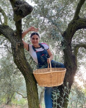 Aslihan Gurbuz Instagram - Hayat sana teşekkür ederim 🙏🏻
yakınlarına “benden sonra bir zeytin bir de limon ekin başucuma” diyen beni gördüğün için🙏🏻
Bana bir zeytinlik verdiğin ve böyle sevildiğim için❤️
Evet hiçbirini ben ellerimle ekmedim, evet limon da yok, yokluk yılına da denk geldim tamam, ama bu verdiklerine bin şükür be🙏🏻🙏🏻🙏🏻
Çok mutluyum efendim, dileyen isteyen herkese nasip olmasını dilerim❤️