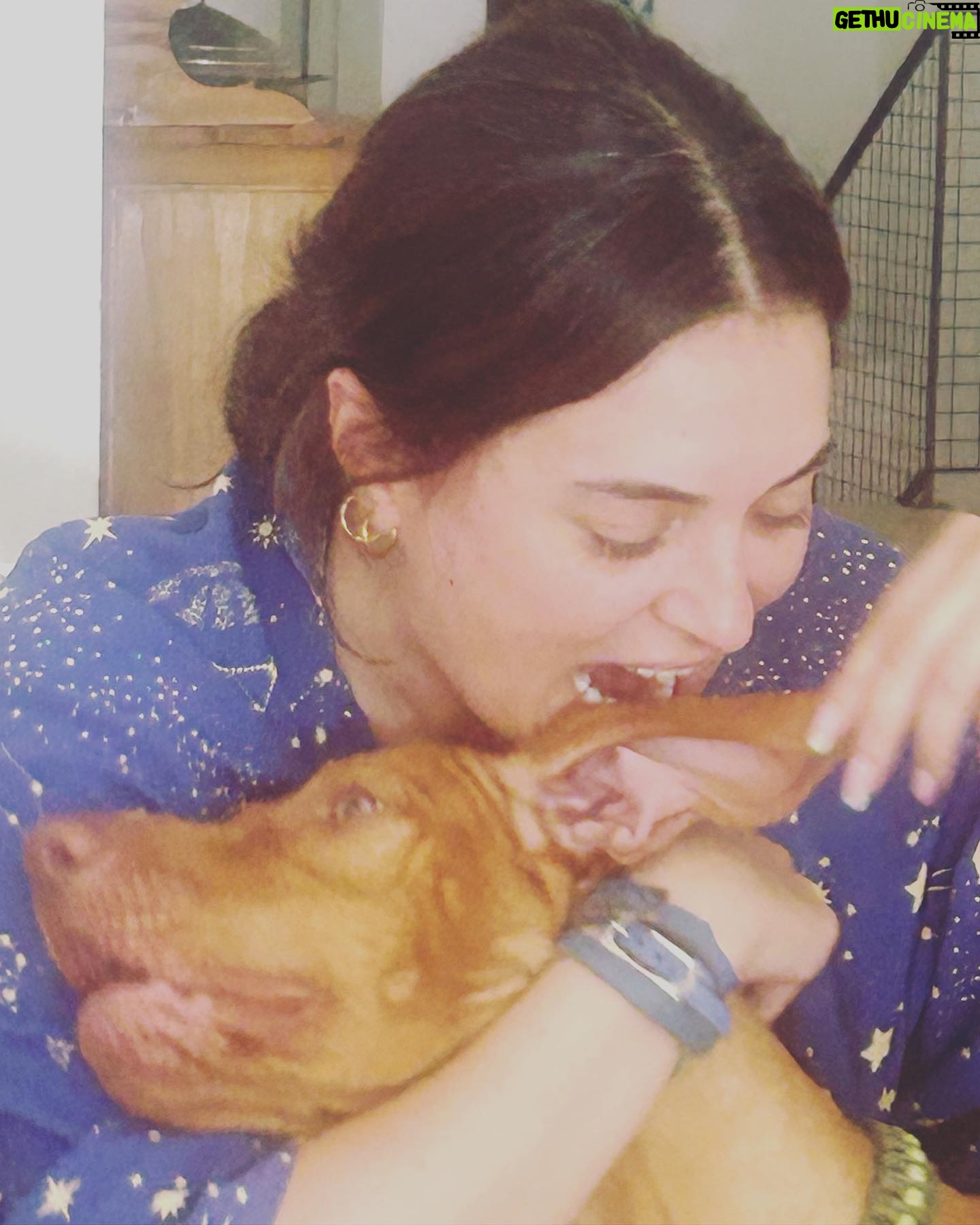 Aslihan Gurbuz Instagram - Aaa bi döndüm ki öbüşüyolla 2 (Bu çekimde hiç bir RoCCo ya zarar verilmemiştir)