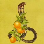 Aslihan Gurbuz Instagram - Gel sen beni dinle.🍊Sen de bir seçim yap. 🐍 Bir hikaye yarat kendine. 🍊 Bul bir mücadele. 🐍 Savaş bir ömür. 🐍 Geber git! 🍊 Berkun Oya imzalı mini dizi #KuvvetliBirAlkış şimdi sadece Netflix’te.