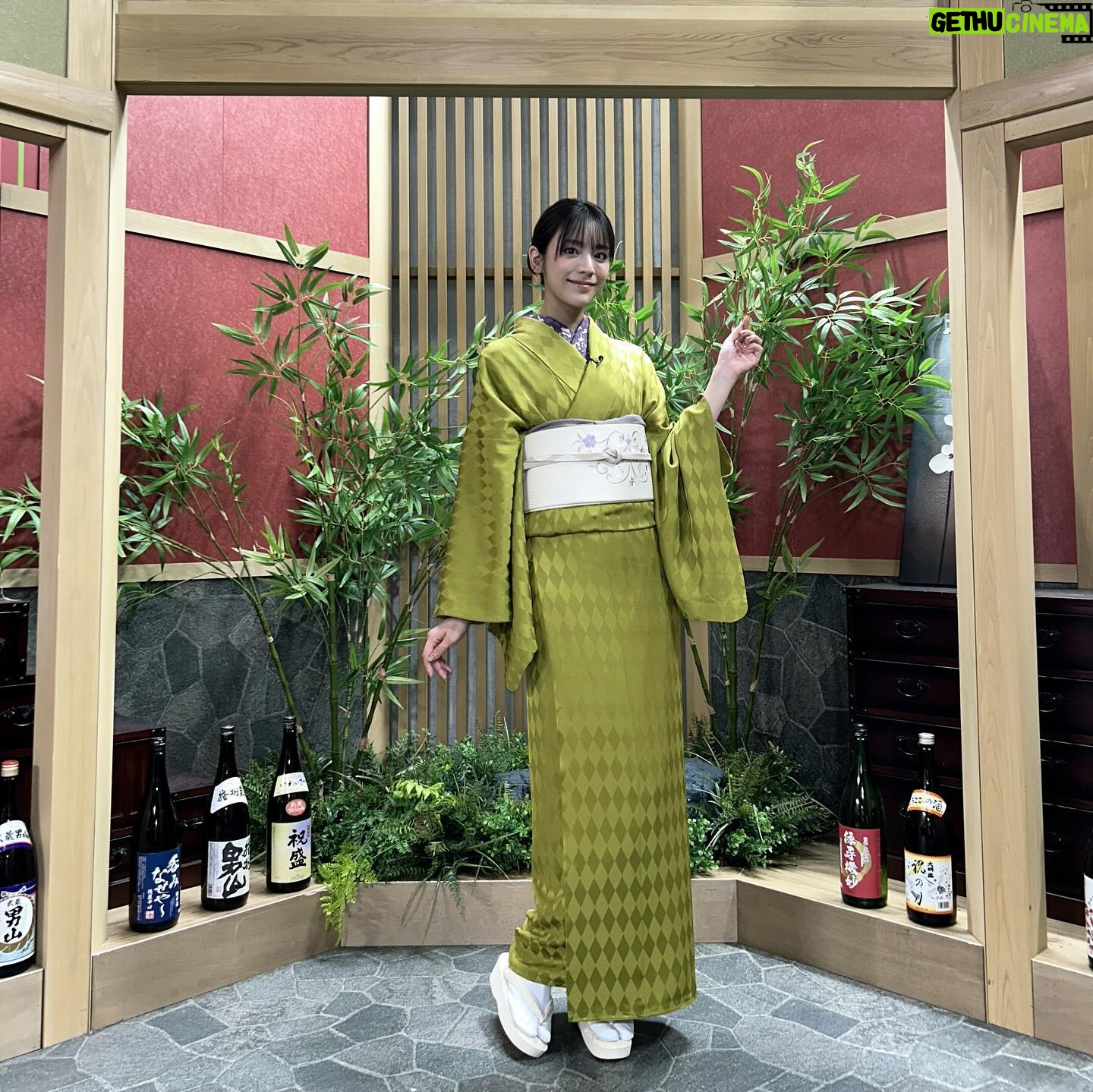Asuka Kijima Instagram - 収録のたびに、素敵なお着物を着られることが楽しい。 背筋がピンと伸びる思いになります。 船越さんに 板についてきたよ!って言っていただきました😂 #おとなの嗜呑