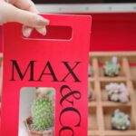 Asuka Kijima Instagram - ‍ MAX＆Co.のイベントへ遊びに行ってきました！ エキゾチックな旅のムードに包まれた空間やアイテムにときめいた〜 ぽてっとしたかわいいサボテンもGETしたよ🌵 （LINEのアンケートに回答すると その場でもらえるプレゼントみたい！） 私は先週末に行ったのですが 4月13日、14日も代官山T-SITEにて 引き続きイベントを開催するみたいなので、 ぜひ遊びに行ってみてね^ ^ #maxandco #CoLLABORATION #NOFAKESMILES #PR