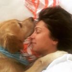 Asuman Dabak Instagram - Bize Hergün Bayramdı Canımmmmm Oğluummmm Dost’mmmmmm Huzurla Uyuuu💕🐾🐾💐🙏 #DostDabakMelekOldu💐