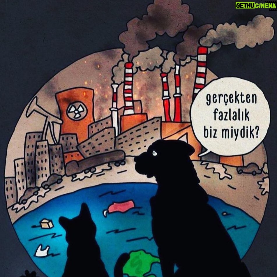 Asuman Dabak Instagram - Onlar bizim canlarımız meleklerimizdir ve aslaa da sahipsiz değillerdir 💕🐾🐾🙏#sokakhayvanlarısahipsizdeğil #sokakhayvanlarınıkoruyalim #sahipsizlerinsahibiyiz