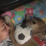Asuman Dabak Instagram - Bize Hergün Bayramdı Canımmmmm Oğluummmm Dost’mmmmmm Huzurla Uyuuu💕🐾🐾💐🙏 #DostDabakMelekOldu💐