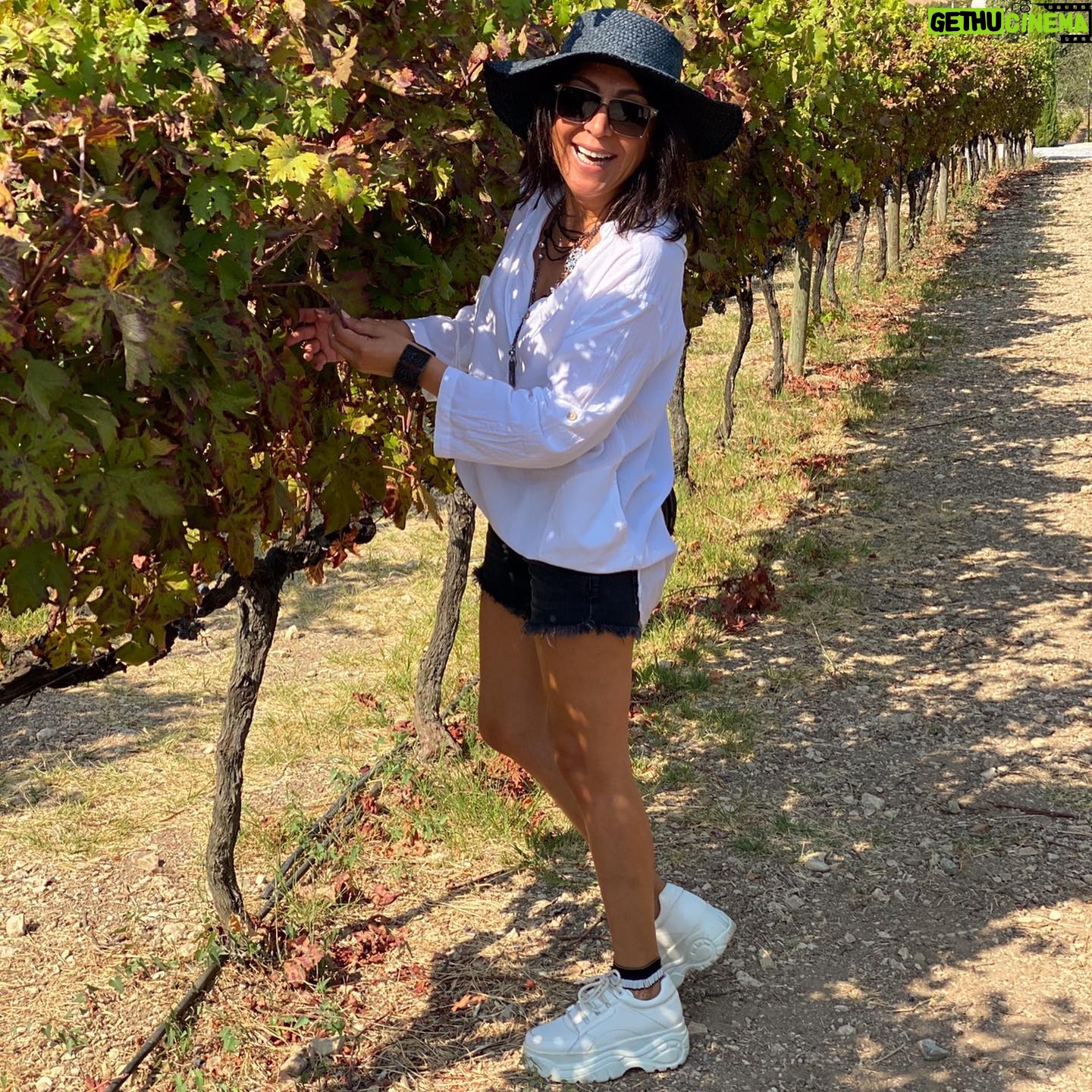 Asuman Dabak Instagram - 🍇Üzüm üzüme bakayım dedim🍇😂😂