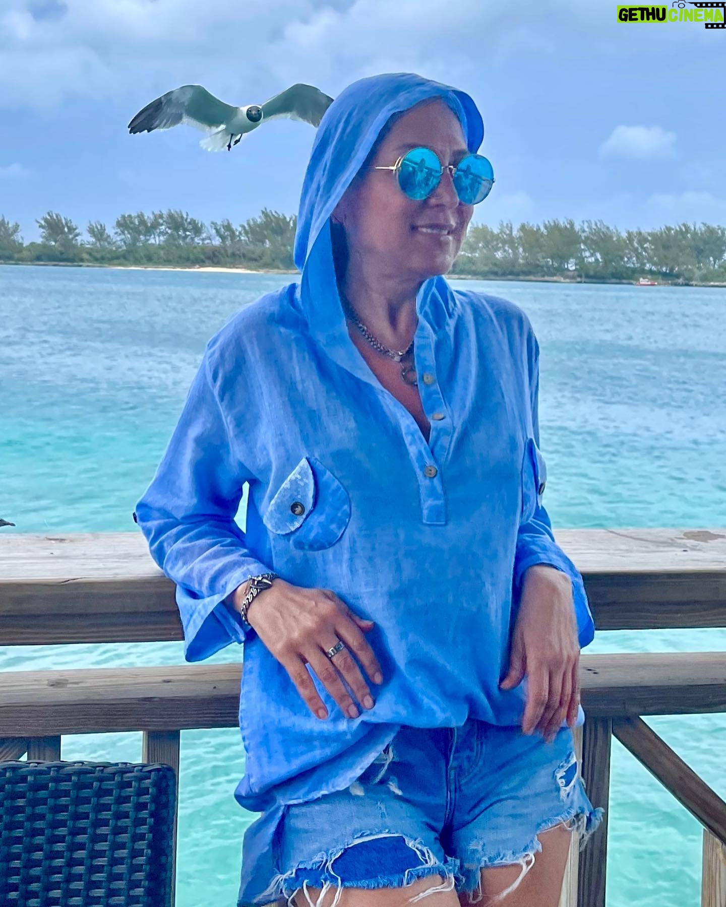 Asuman Dabak Instagram - Kuşlarla güldük eğlendik meğerse gülünce kuşlar uçuşurmuş seslerinize,uçuşan kuşlar konsun göğsünüze🕊🕊🕊💙