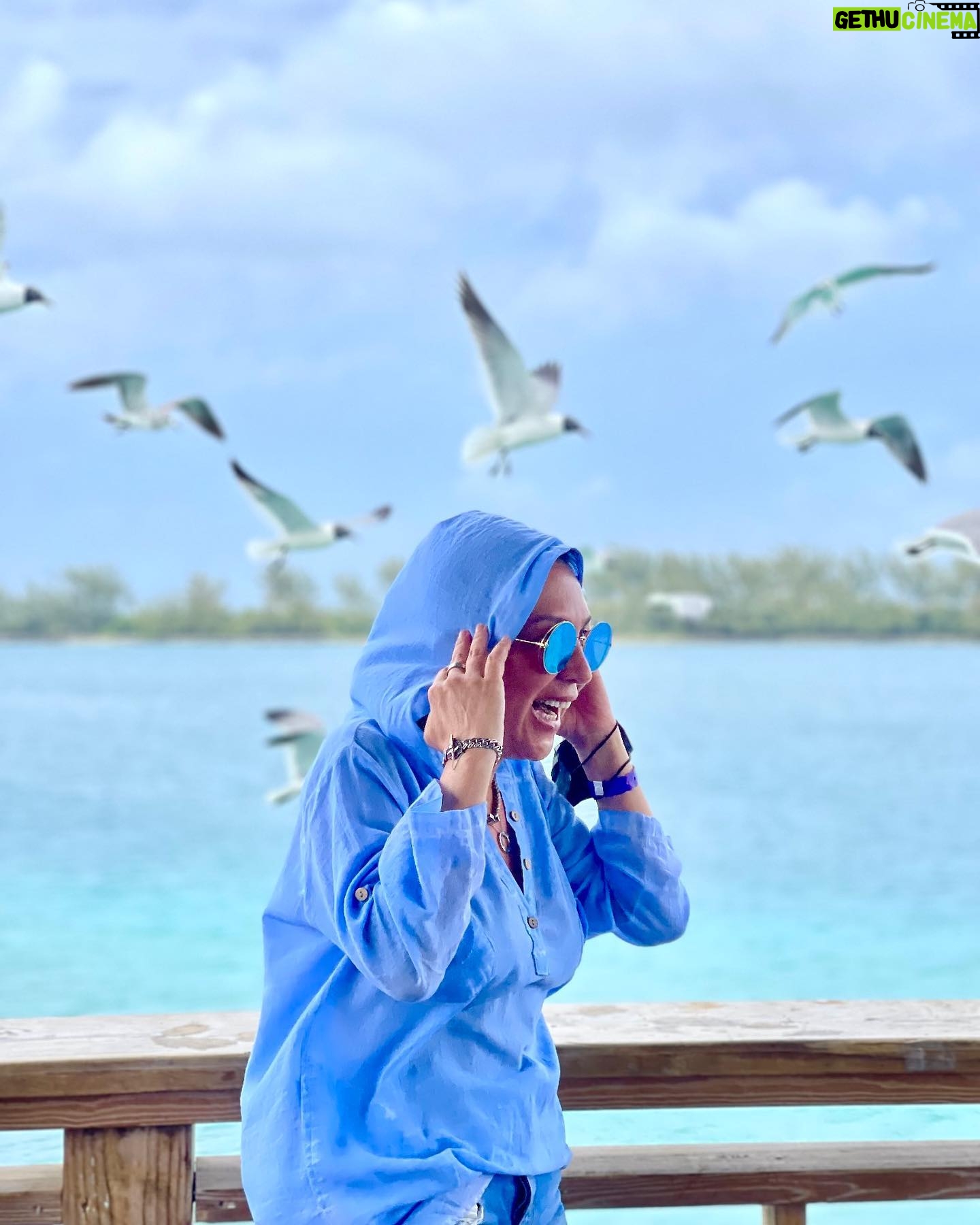 Asuman Dabak Instagram - Kuşlarla güldük eğlendik meğerse gülünce kuşlar uçuşurmuş seslerinize,uçuşan kuşlar konsun göğsünüze🕊🕊🕊💙