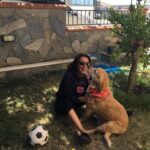 Asuman Dabak Instagram - Bize Hergün Bayramdı Canımmmmm Oğluummmm Dost’mmmmmm Huzurla Uyuuu💕🐾🐾💐🙏 #DostDabakMelekOldu💐