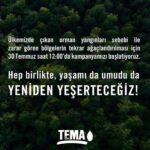 Asuman Dabak Instagram - Bu bizim insanlık borcumuzdur yeniden yeşerteceğiz ,canlarımıza can olacağız tedavileri için bağışta bulunalım 🙏🌲🐾🐾 @temavakfi ve @haytap
