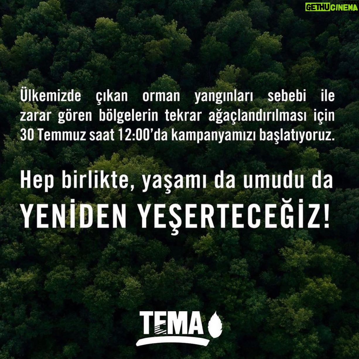 Asuman Dabak Instagram - Bu bizim insanlık borcumuzdur yeniden yeşerteceğiz ,canlarımıza can olacağız tedavileri için bağışta bulunalım 🙏🌲🐾🐾 @temavakfi ve @haytap