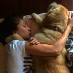 Asuman Dabak Instagram - Bize Hergün Bayramdı Canımmmmm Oğluummmm Dost’mmmmmm Huzurla Uyuuu💕🐾🐾💐🙏 #DostDabakMelekOldu💐