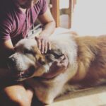 Atharvaa Instagram - Early Mornings with this Fluff- Ball ! 😍 #Sparta Merry Christmas you guys ! 🤗🎄