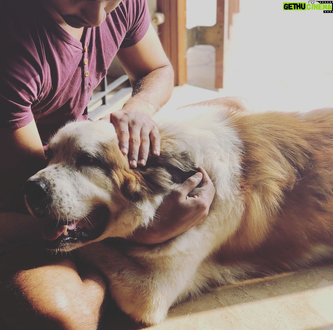 Atharvaa Instagram - Early Mornings with this Fluff- Ball ! 😍 #Sparta Merry Christmas you guys ! 🤗🎄