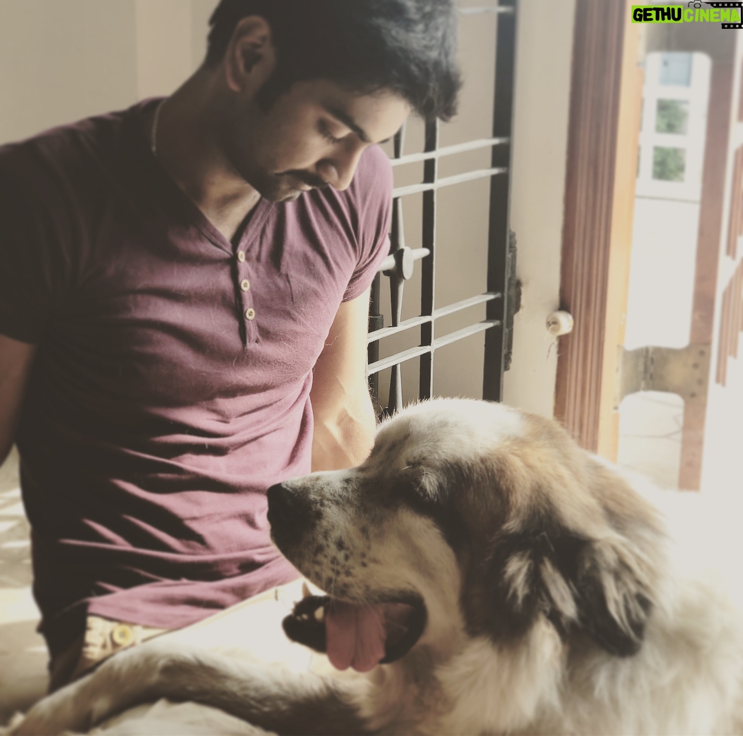 Atharvaa Instagram - Early Mornings with this Fluff- Ball ! 😍 #Sparta Merry Christmas you guys ! 🤗🎄