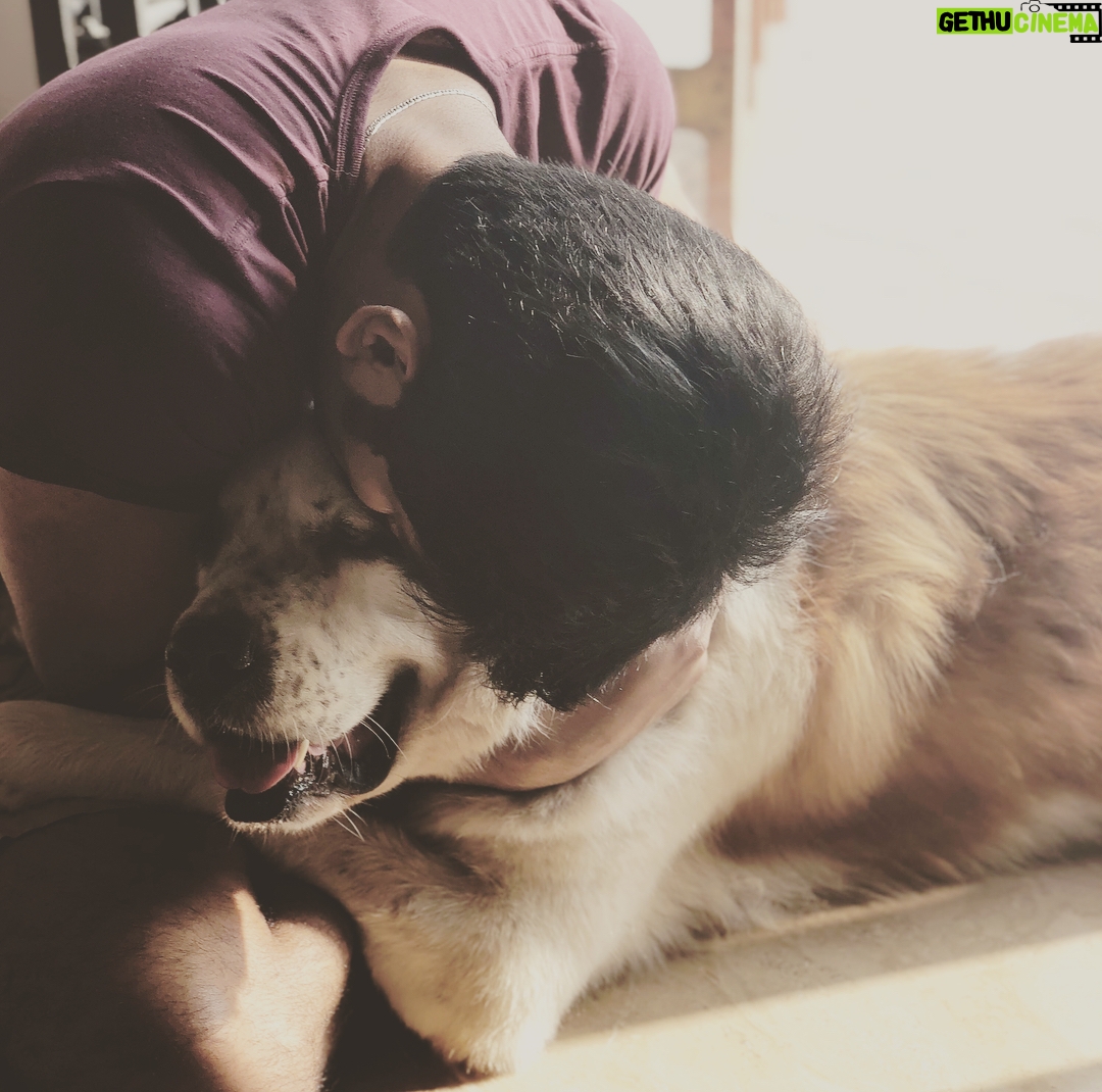 Atharvaa Instagram - Early Mornings with this Fluff- Ball ! 😍 #Sparta Merry Christmas you guys ! 🤗🎄