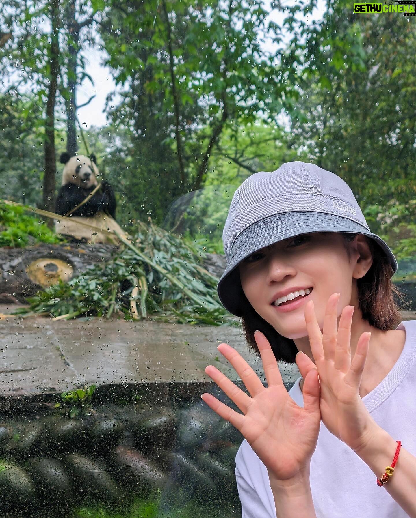 Atsuko Maeda - 3 Likes - .
香香(シャンシャン)プリンセス🐼に中国で会えました♡♡
食べるとき目瞑りながら食べてたよ可愛いね😭