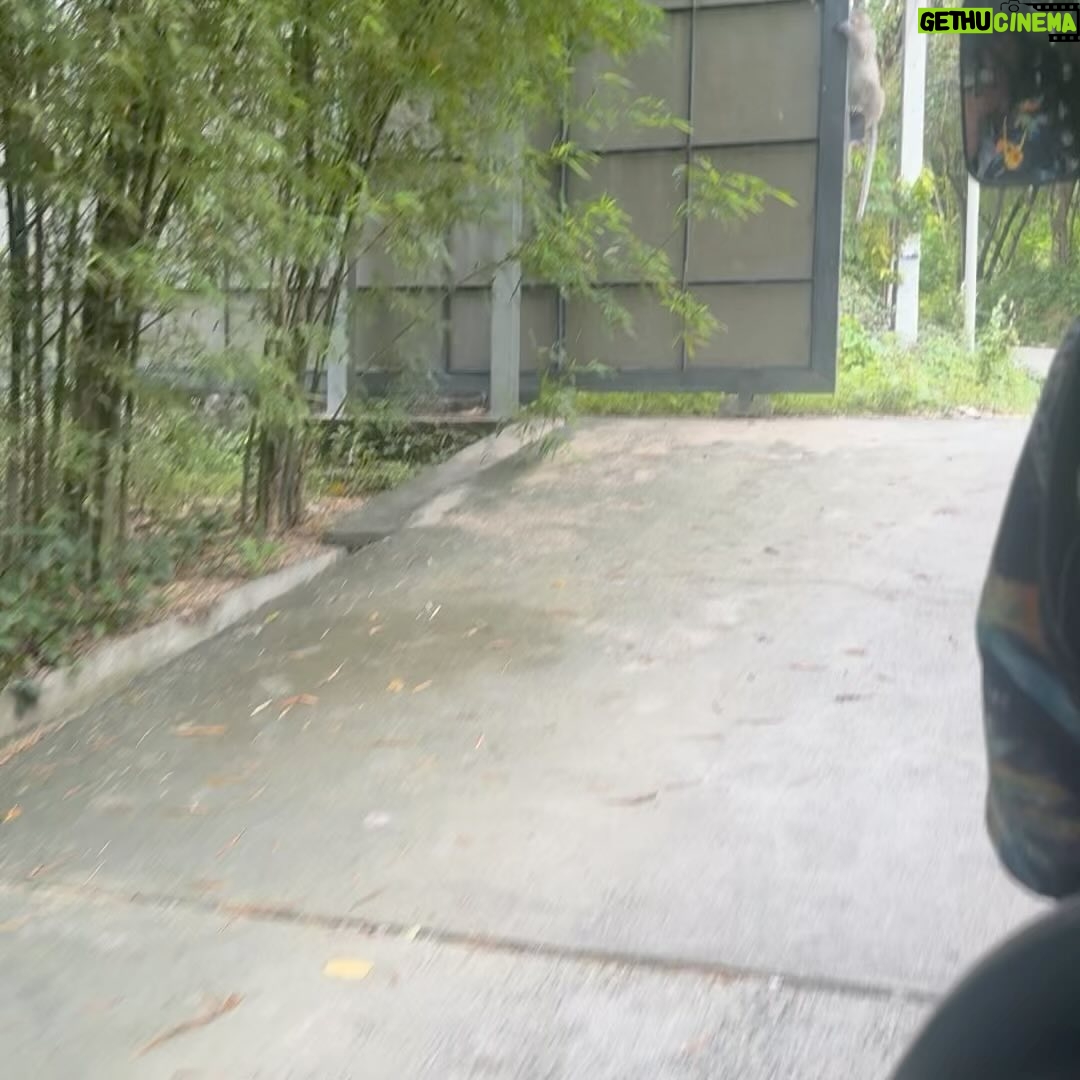 Aubrey Anderson-Emmons Instagram - Thailand pt.1